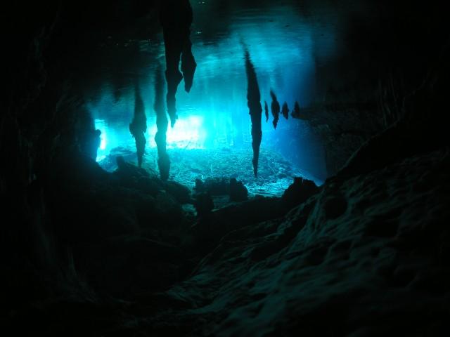 beabito 254.jpg